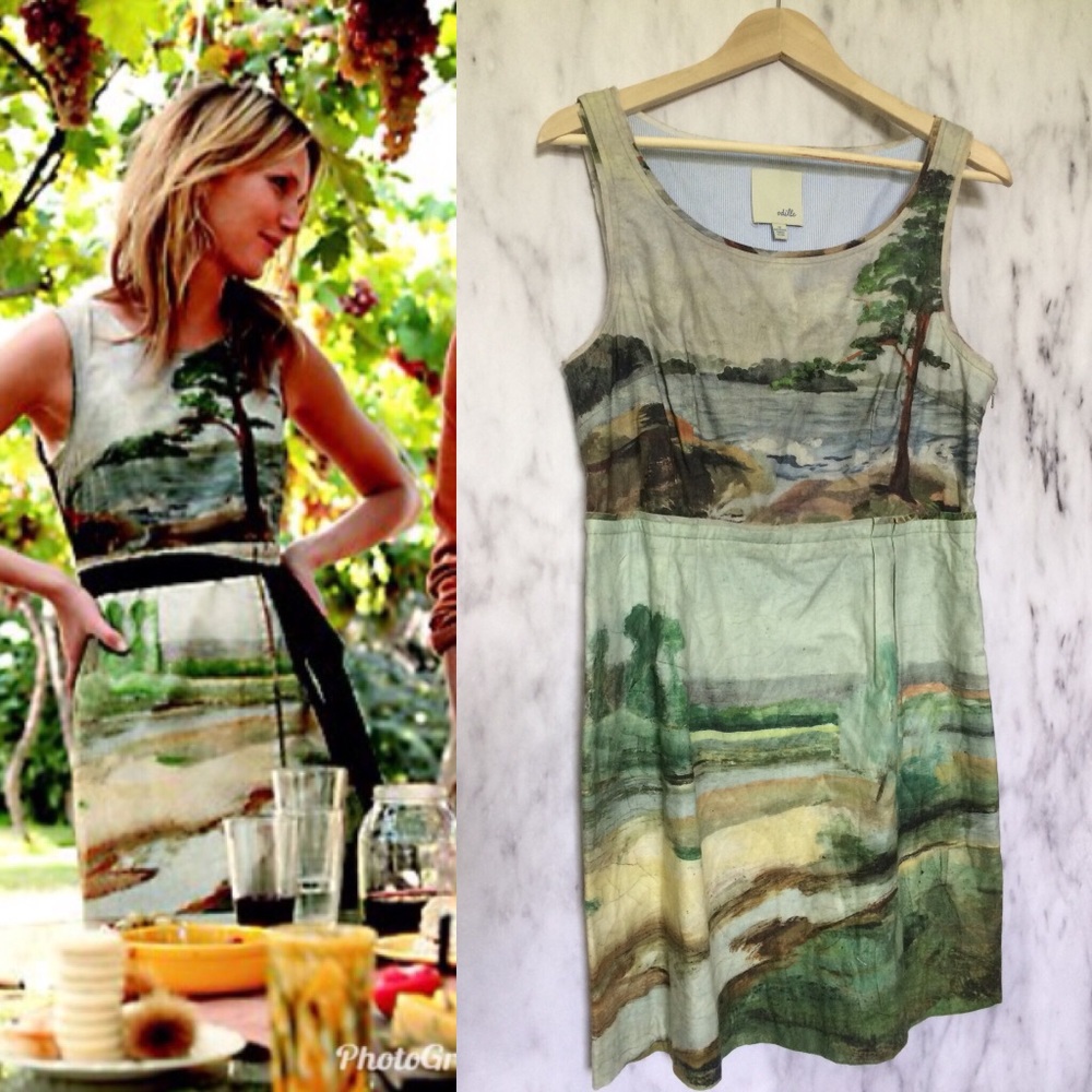 Anthro Odille Artist Rendering Landscape Dress 12